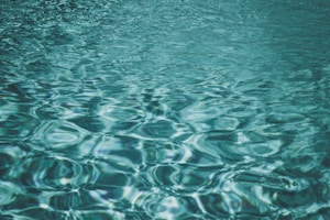 body of water during daytime