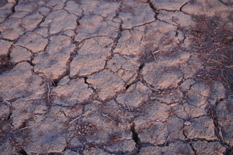 A close-up view of dry, cracked earth displaying an intricate pattern of fissures. The surface is covered with a mix of dusty brown tones, some small pebbles, and sparse, dried vegetation scattered across the area.