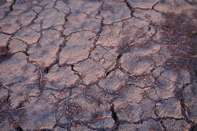 A close-up view of dry, cracked earth displaying an intricate pattern of fissures. The surface is covered with a mix of dusty brown tones, some small pebbles, and sparse, dried vegetation scattered across the area.