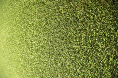 green grass field during daytime