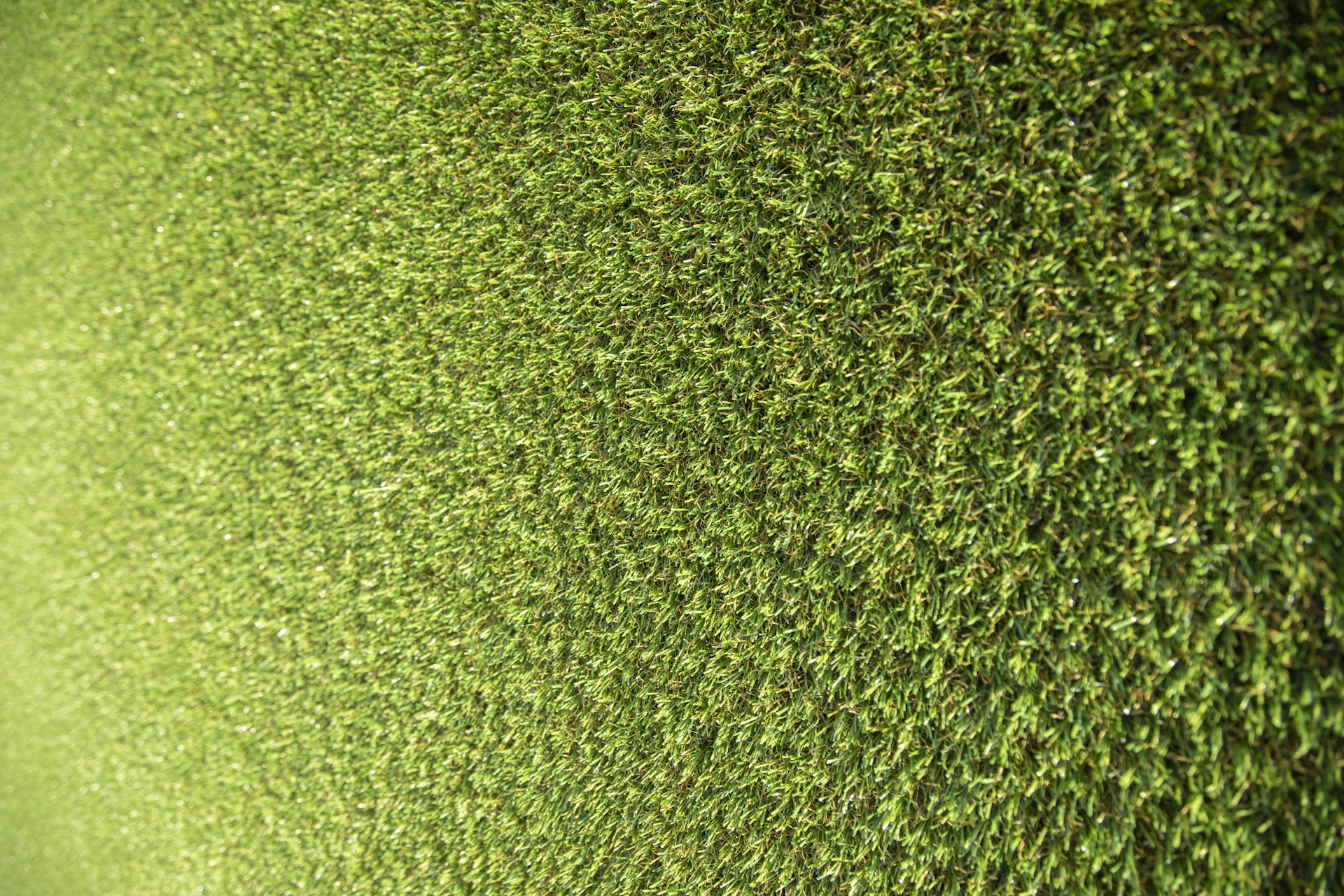 green grass field during daytime