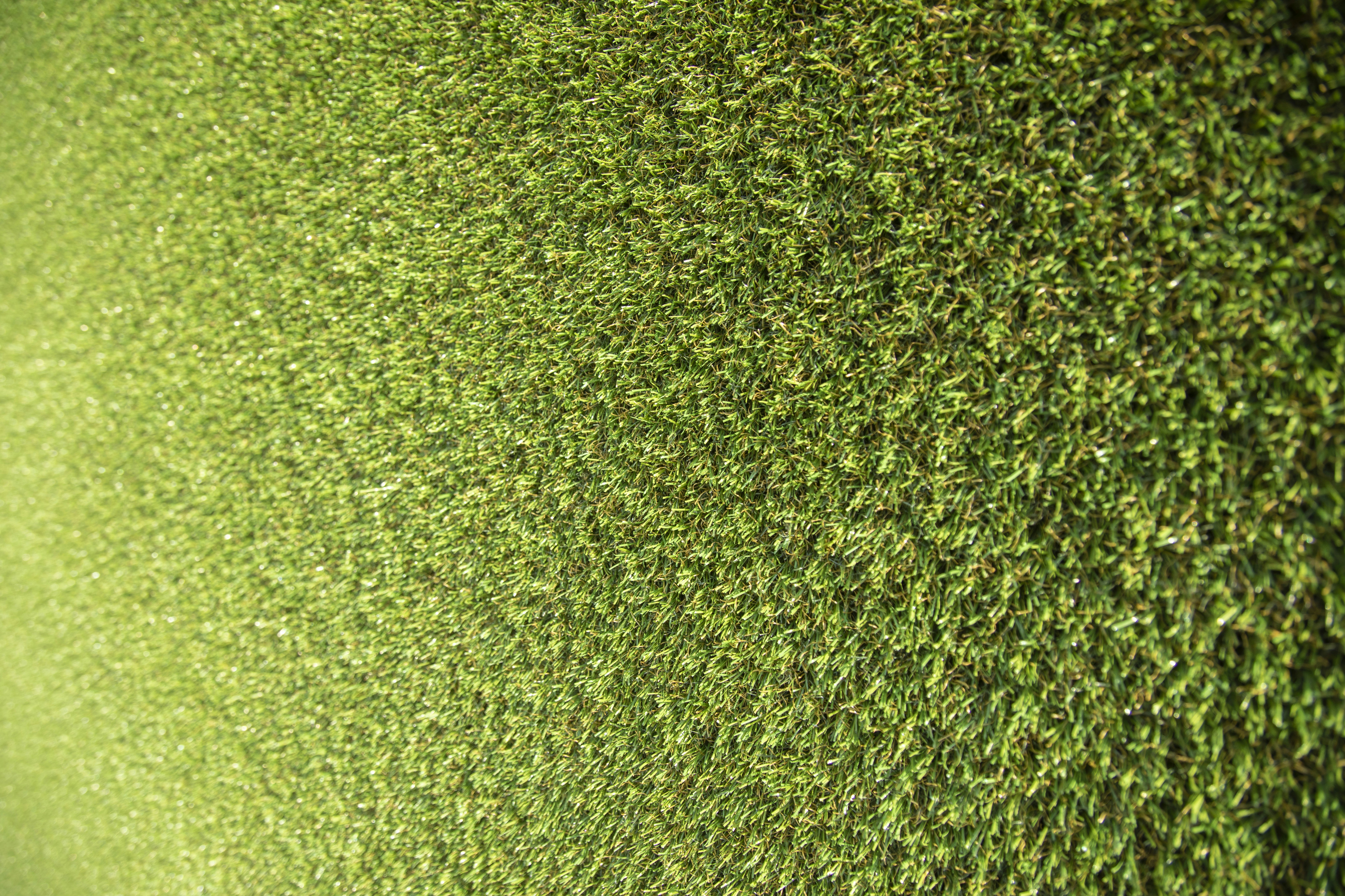 Grama Sintética de Alta Qualidade