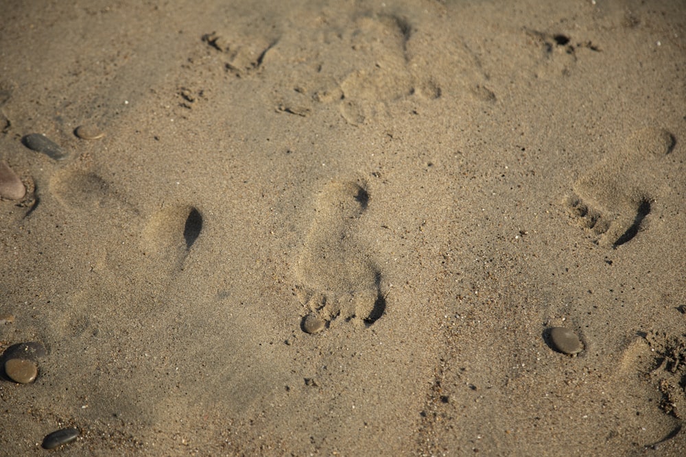 foot prints on brown sand