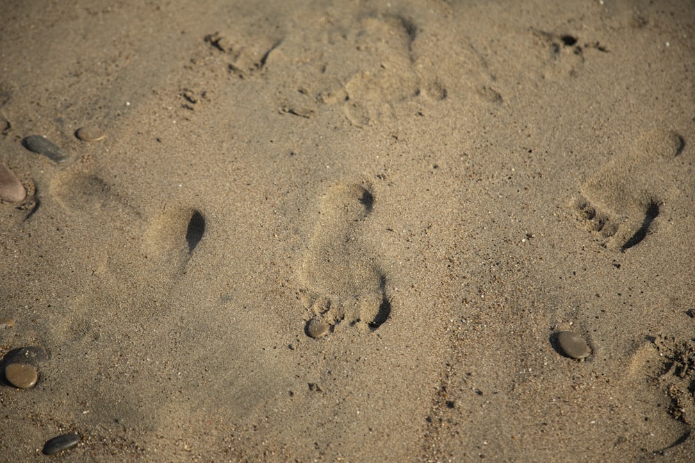 茶色の砂に足跡