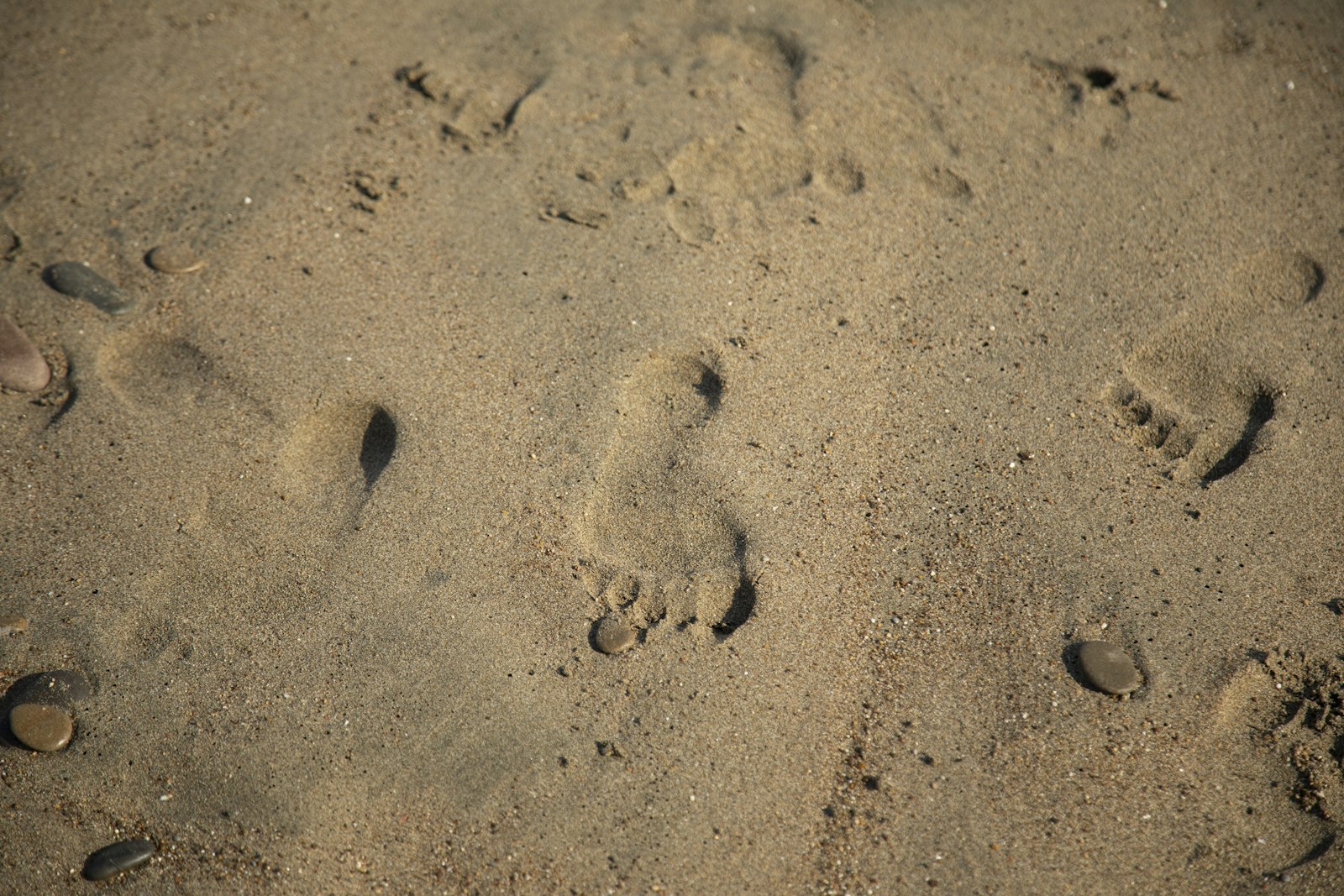 Canon EOS 5D Mark IV + Canon EF 24-105mm F4L IS USM sample photo. Foot prints on brown photography