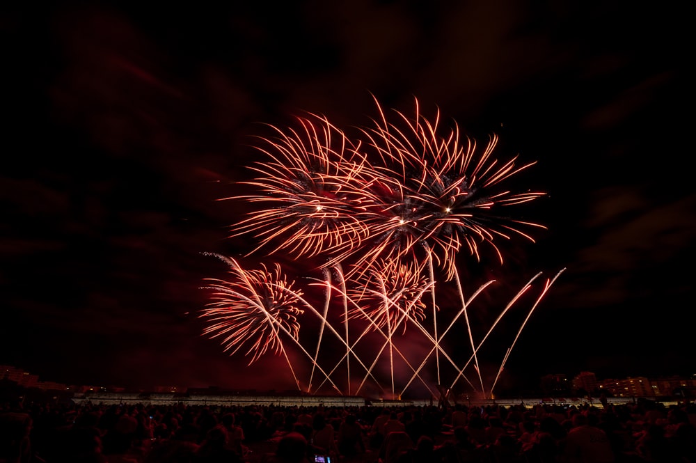 Espectáculo de fuegos artificiales durante la noche