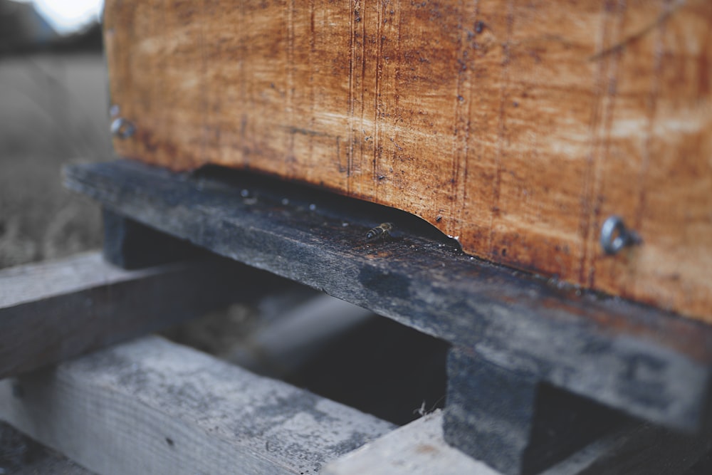 a close up of a piece of wood on a bench