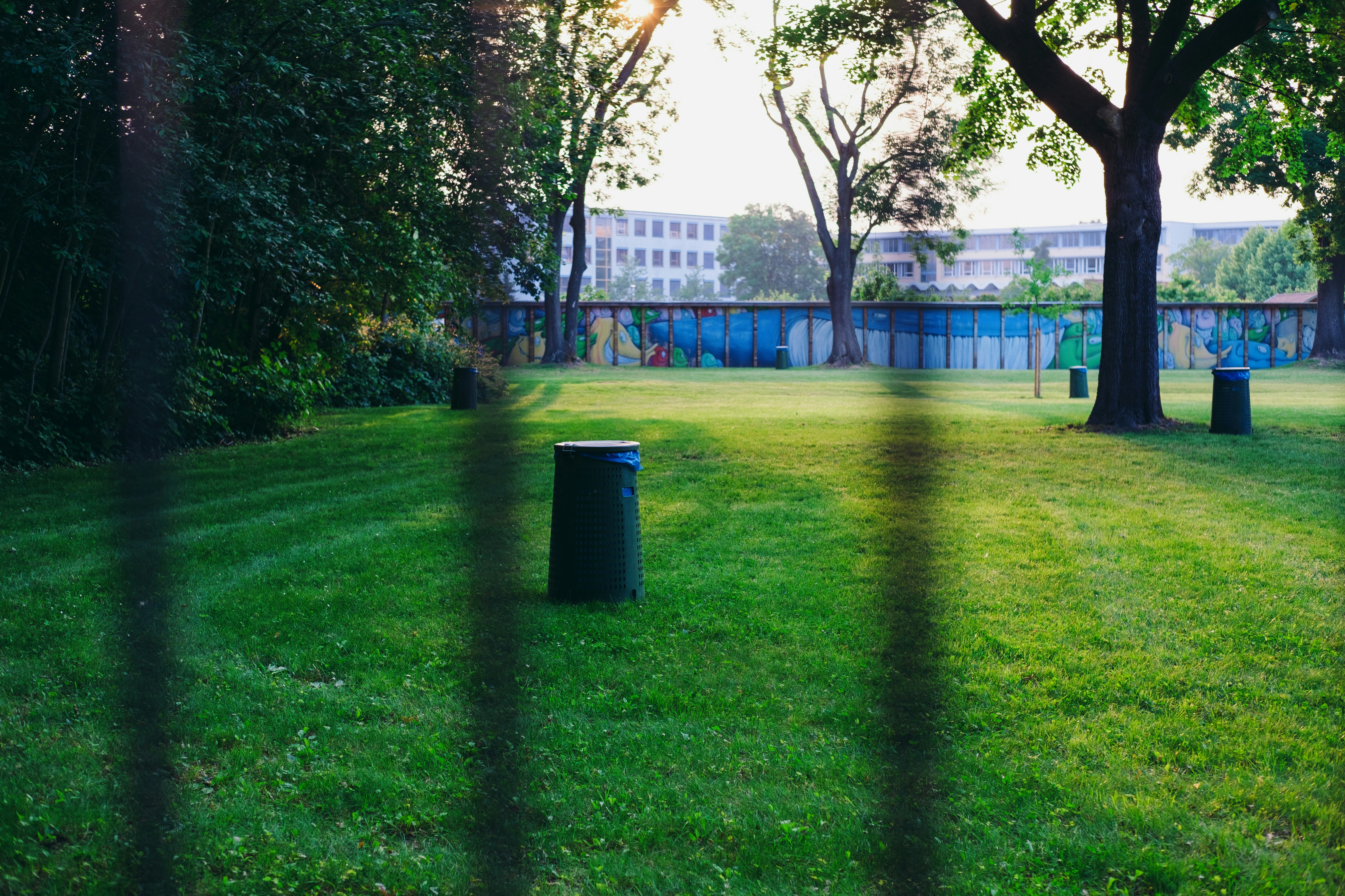 Choose from a curated selection of grass backgrounds. Always free on Unsplash.