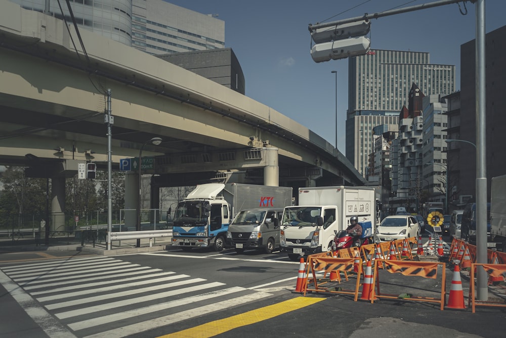 people in a city street during daytime