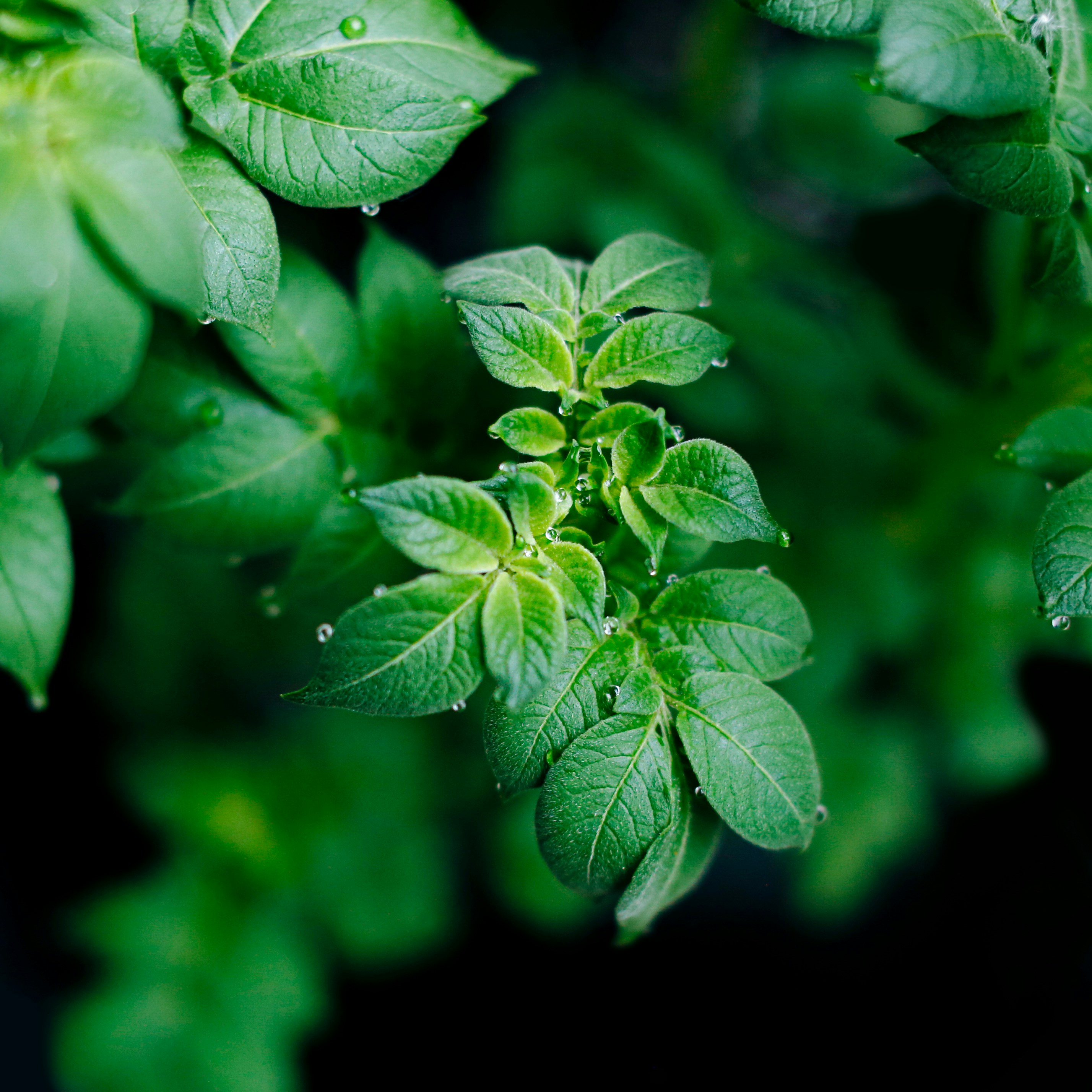 Photo by おにぎり