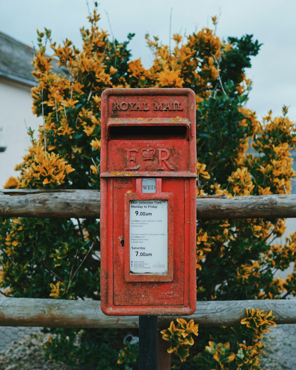 red mail box on brown wooden fence