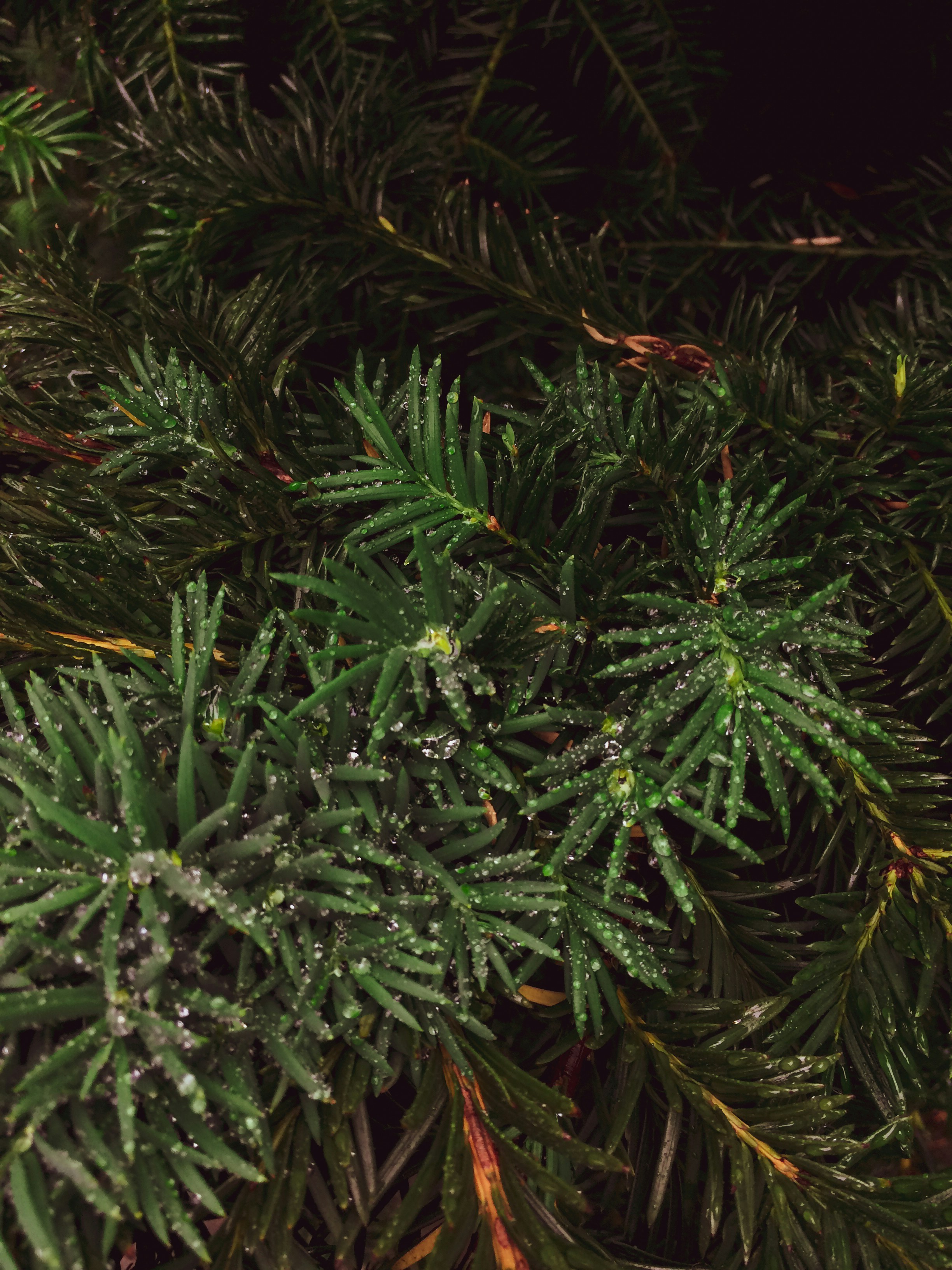 Photo by prostotakphoto