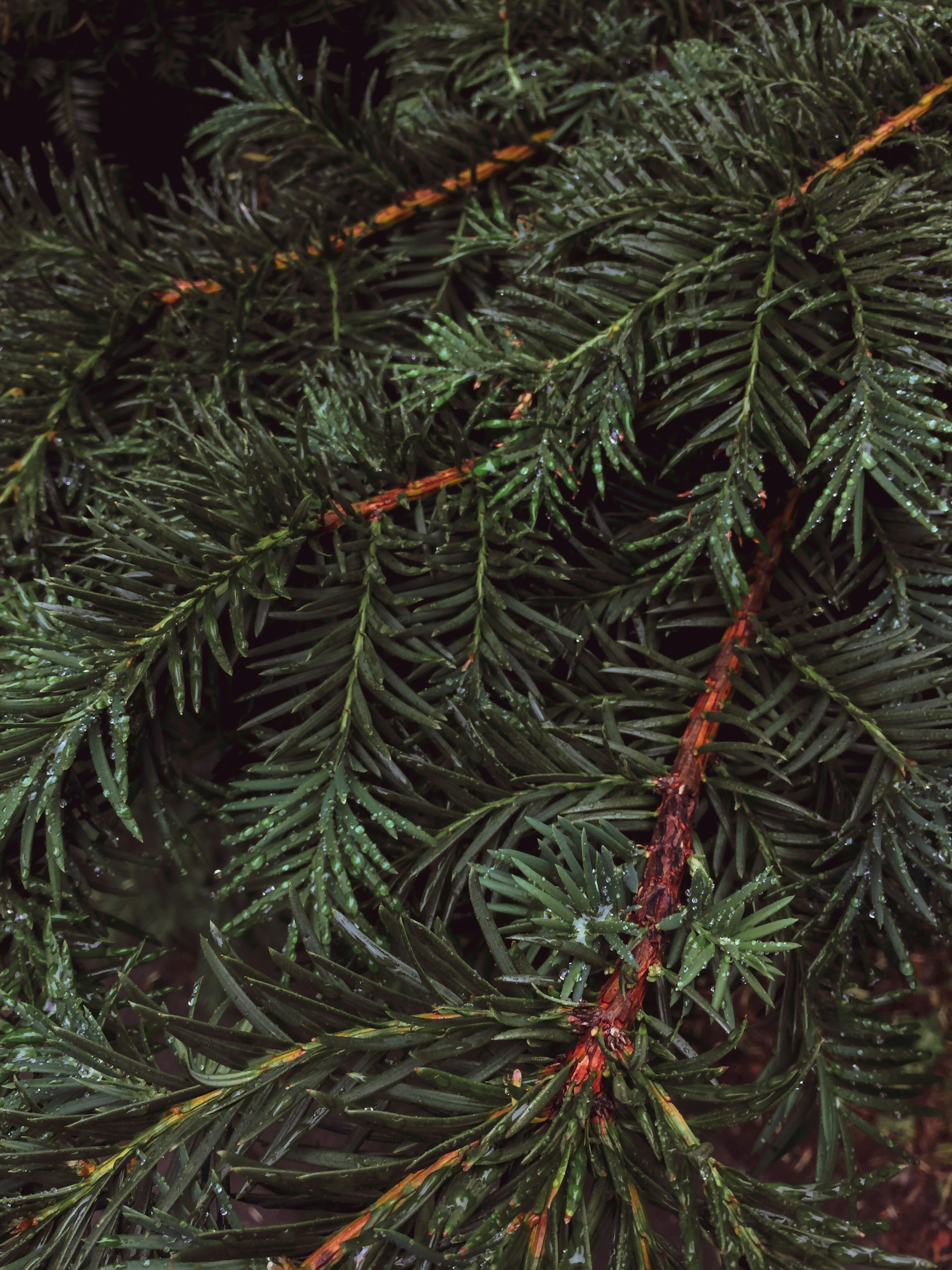 Photo by prostotakphoto