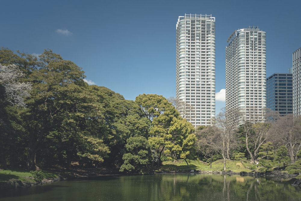 日中の水域近くの緑の木々