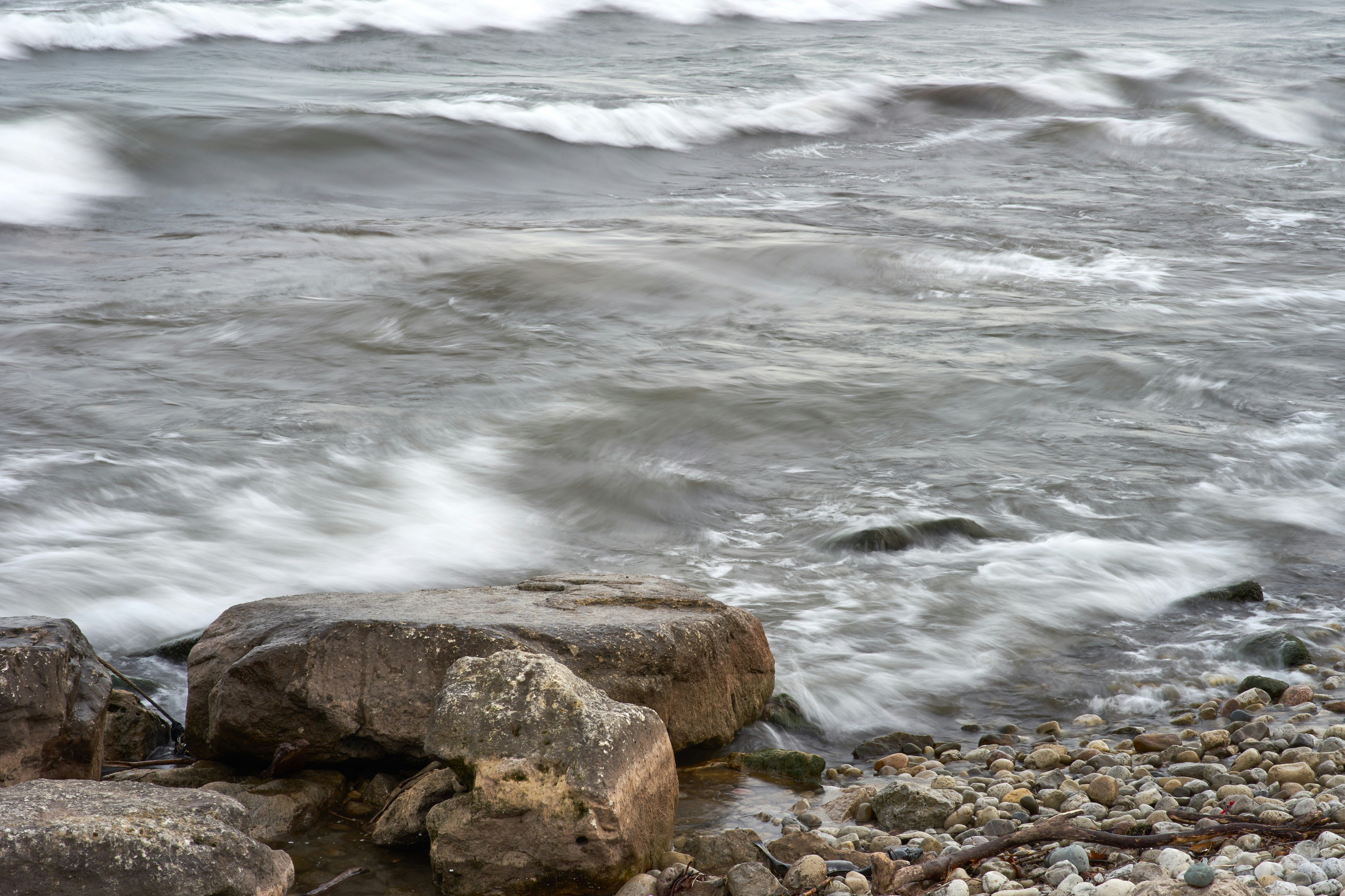 Photo by wolfgang_hasselmann