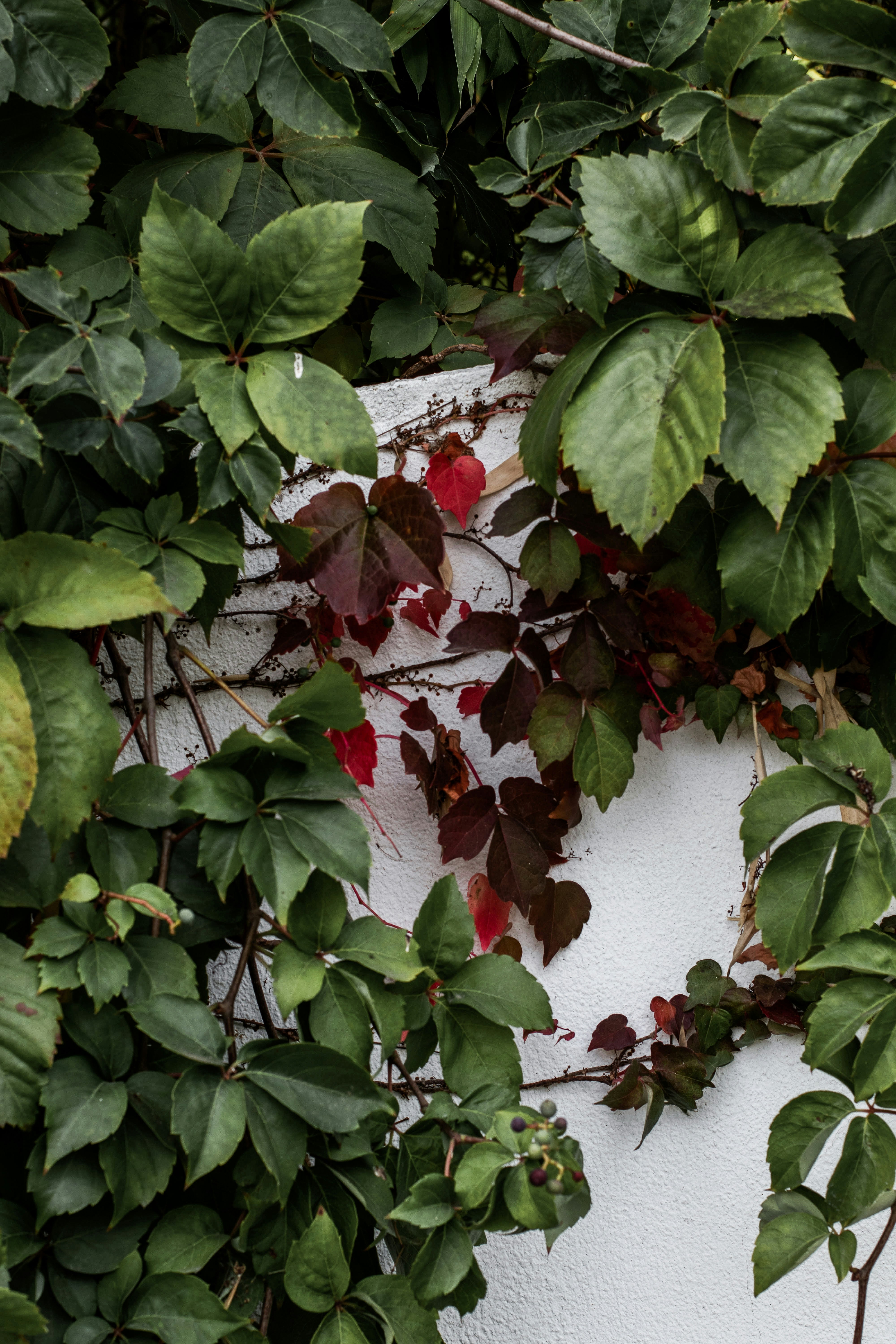 Photo by tessymorelli