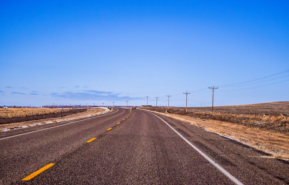 gray concrete road under blue sky during daytime