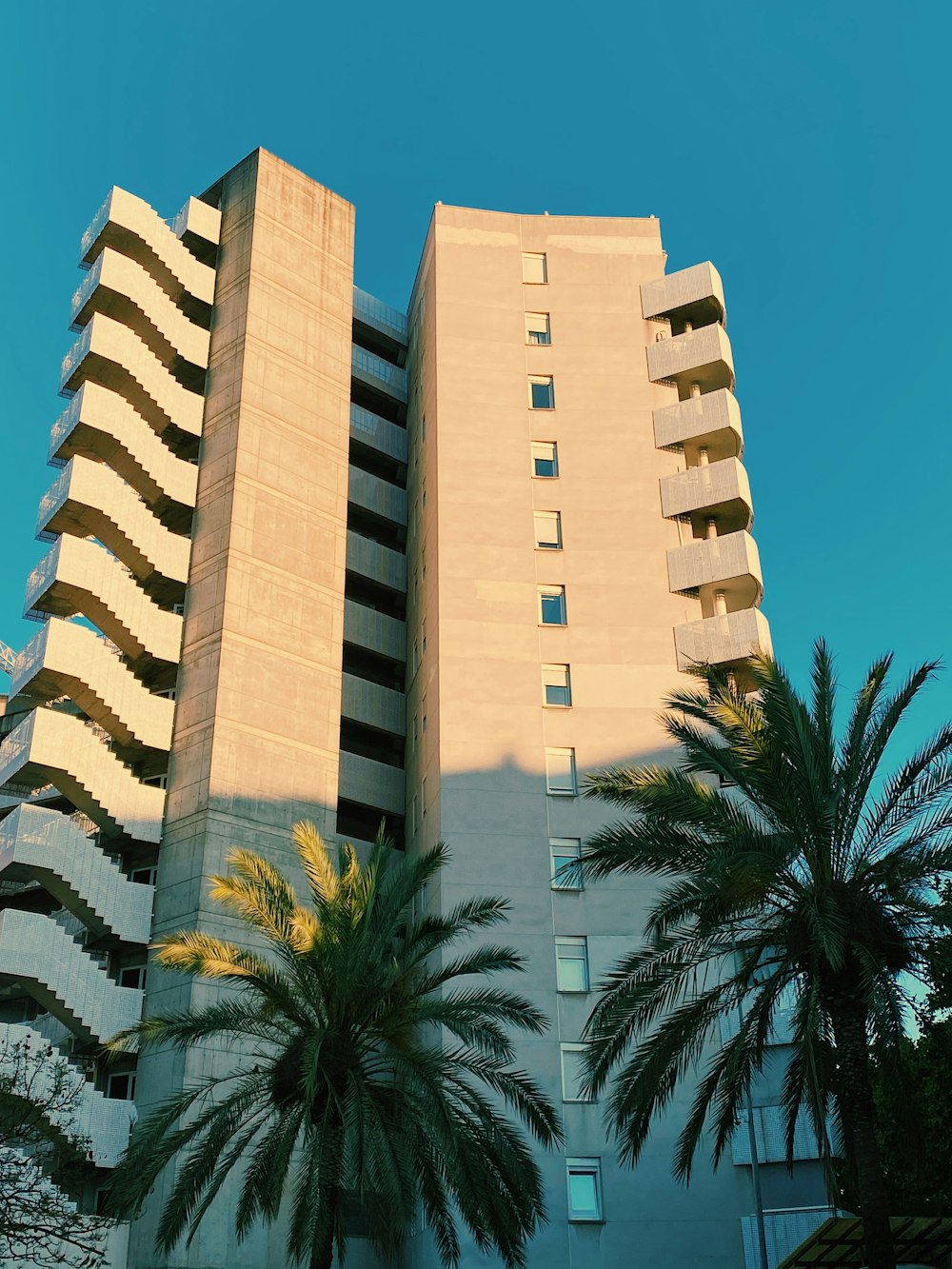 beige concrete building near palm trees during daytime