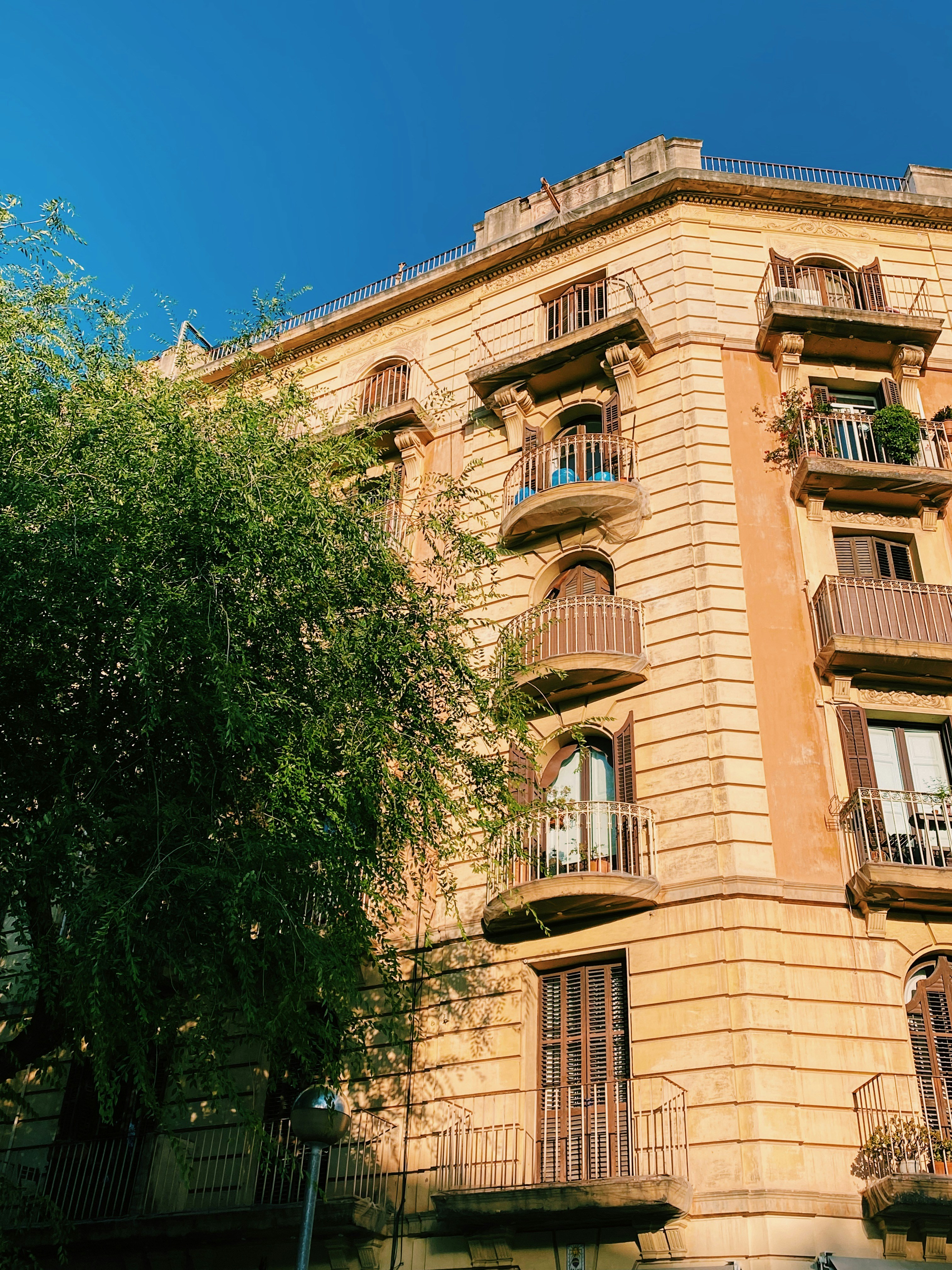 Photo by paulacrespos14