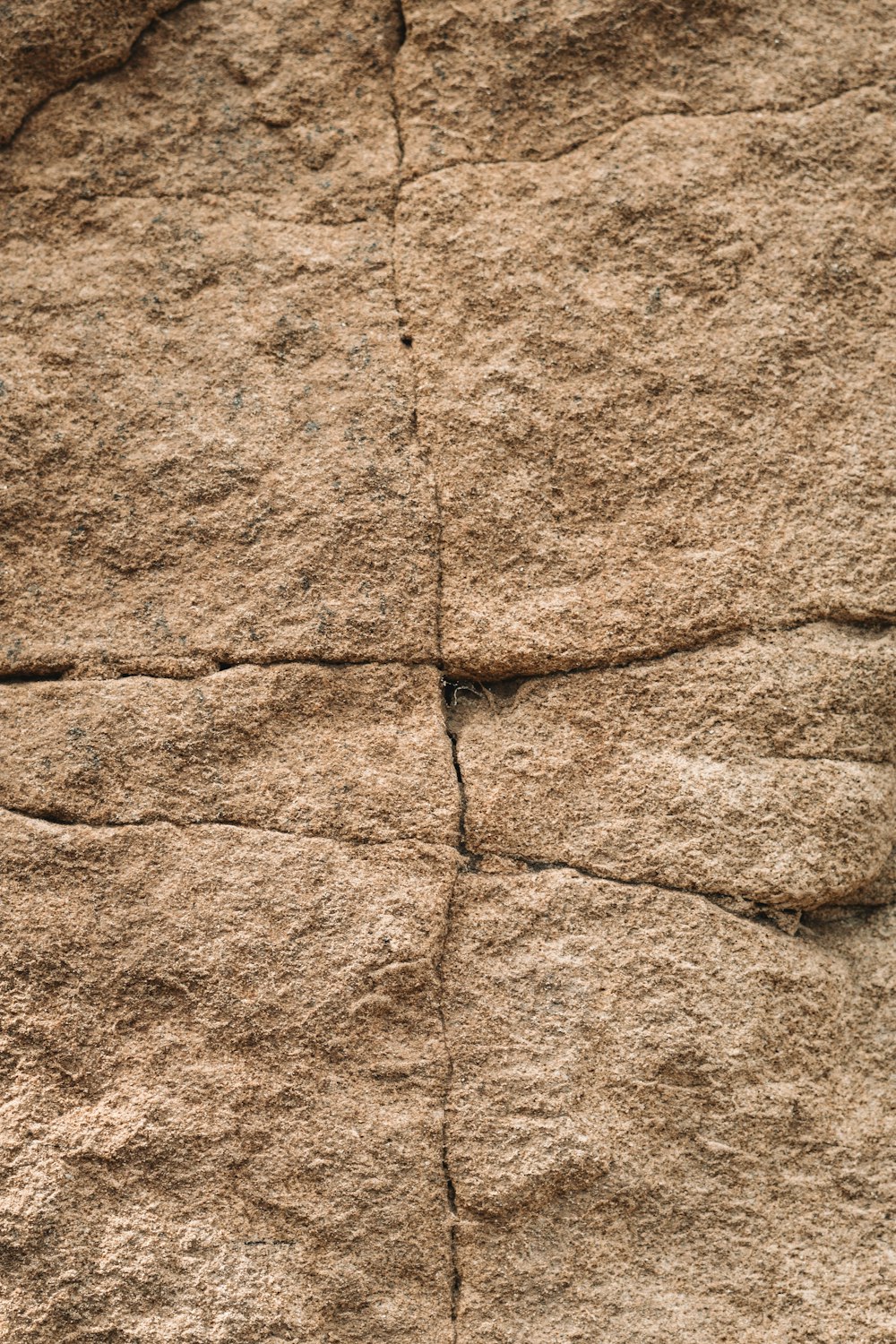 a close up of a rock with a bird on it