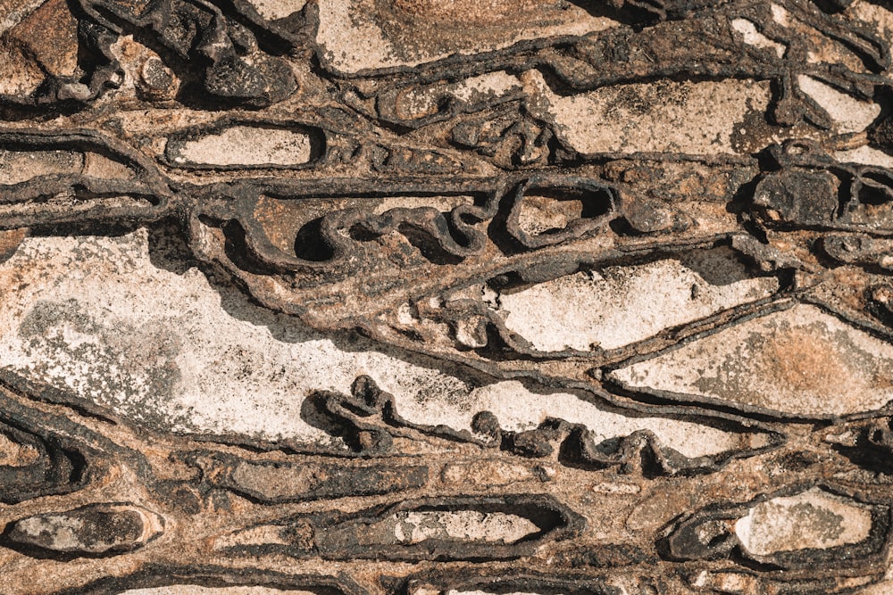 a close up of a rock with a pattern on it