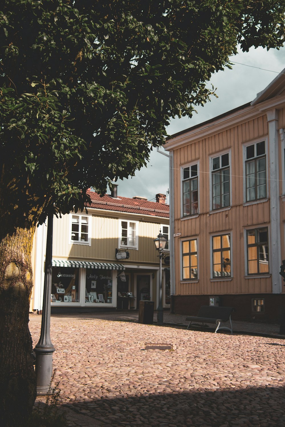 brown and white concrete building near green tree during daytime