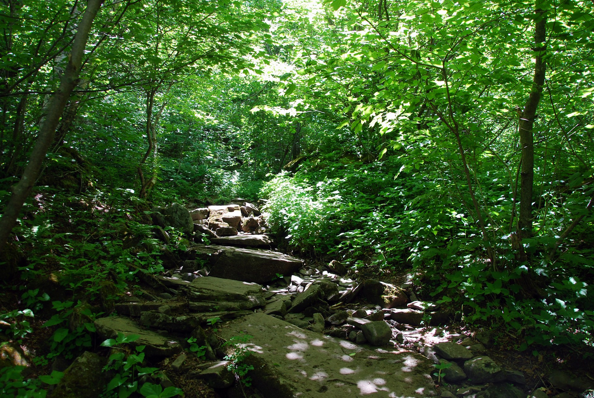 gray computer monitor