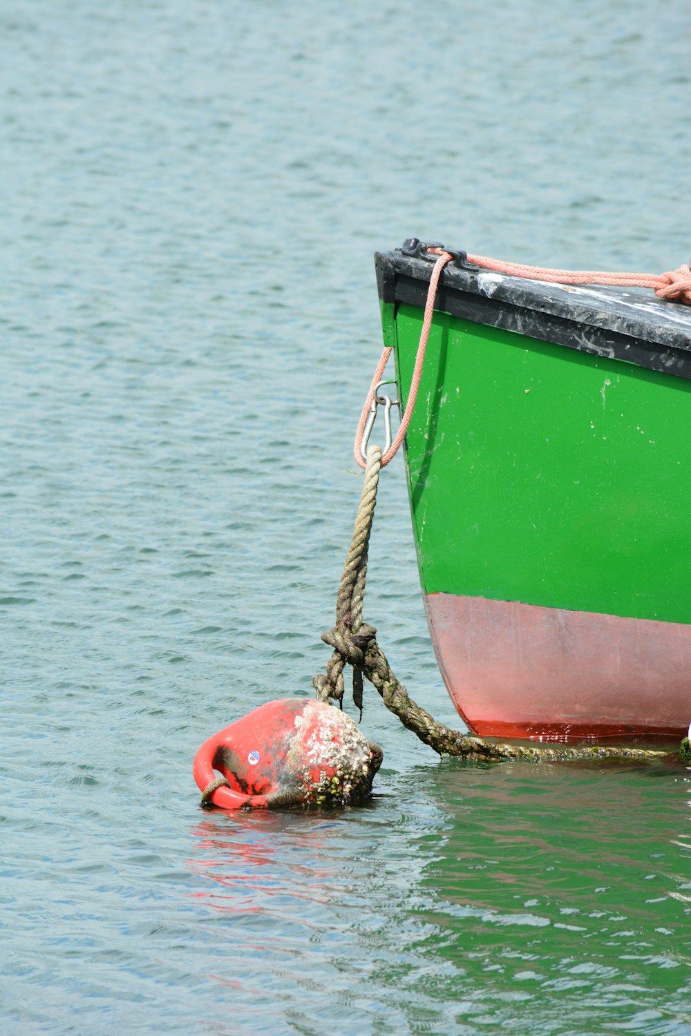 red and green boat on water during daytime