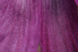 Close-up of a textured mauve wall panel highlighting its fine grain and subtle pattern.