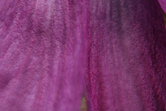 Close-up of a premium poster texture with rich purples and blacks, emphasizing quality print details.