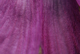 Close-up of a textured surface painted in rich purples and soft yellows.