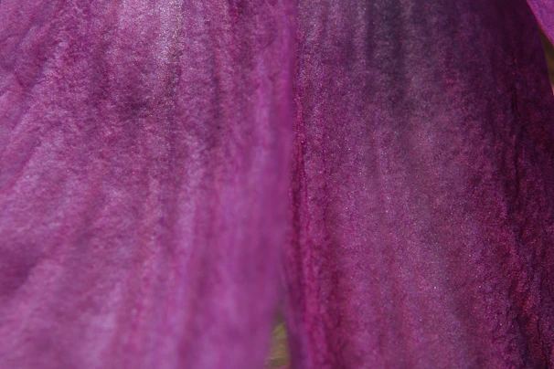 Close-up of a premium poster texture with rich purples and blacks, emphasizing quality print details.