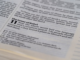 The image displays an open page of a Bible with a focus on a passage from Genesis 11, discussing the Tower of Babel. The text is clearly printed, highlighting themes of language and communication.