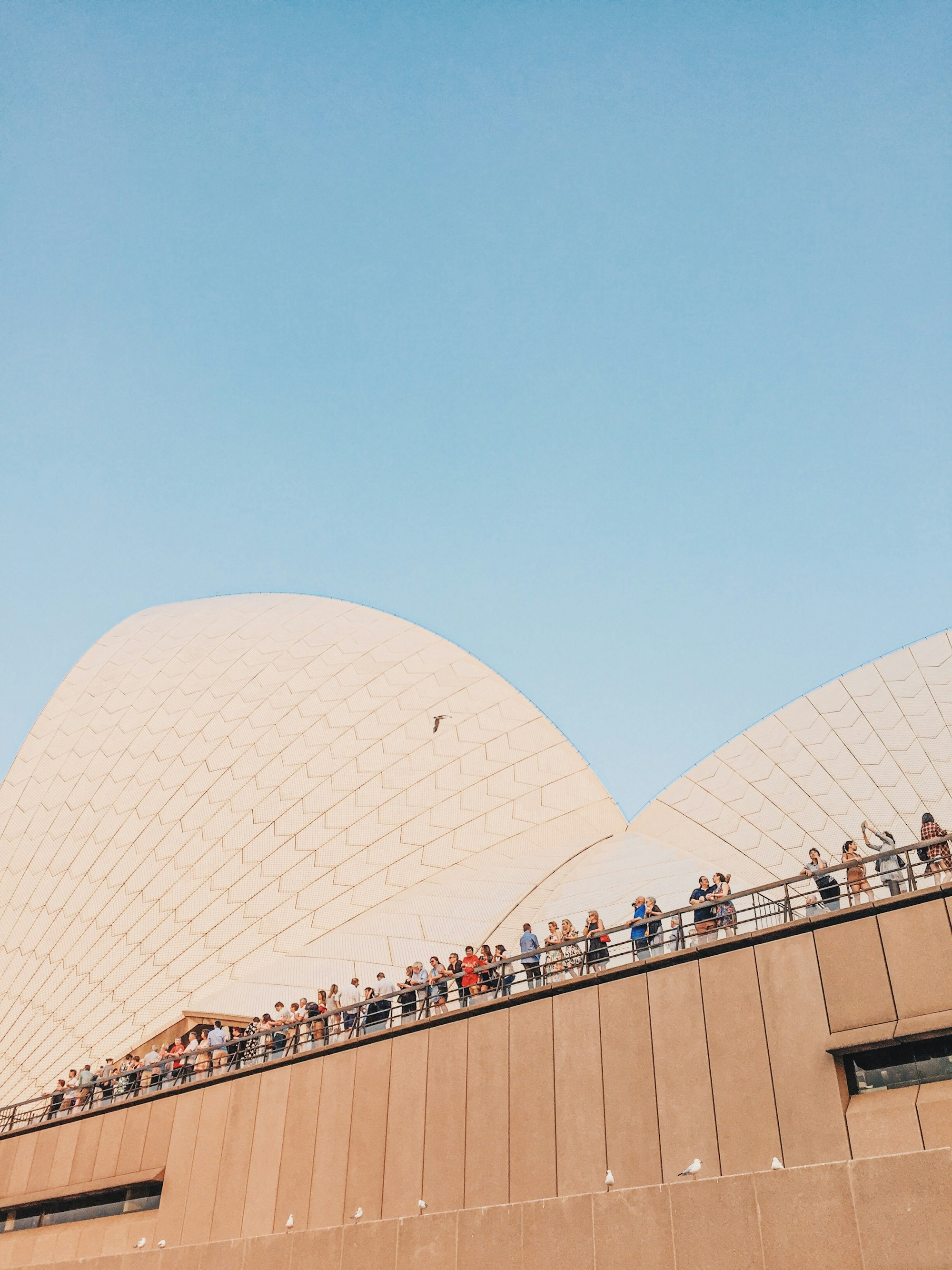 People enjoying their time at Opera House, Sydney. What you can see from it are ocean, ferry, the bridge, blue sky, and buildings.