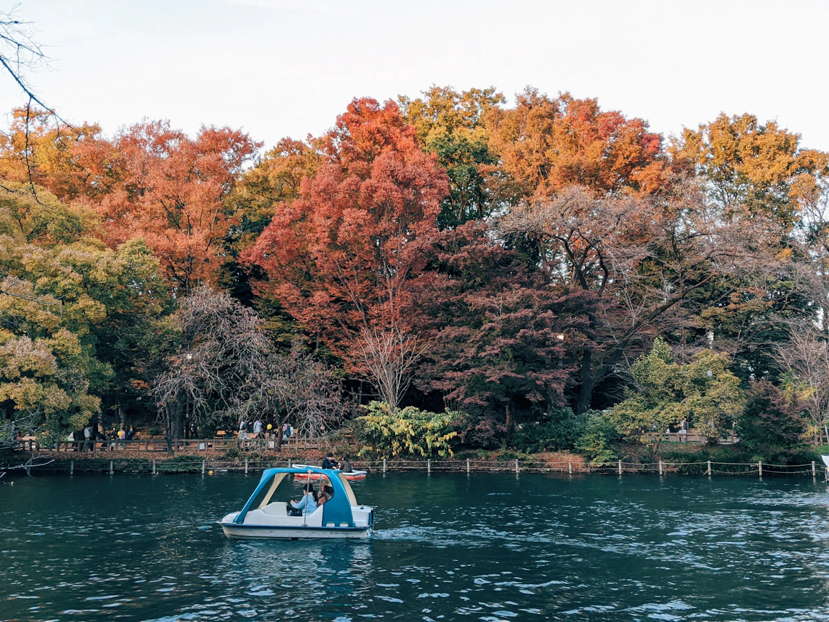 Inokashira Park, Kichijoji, Tokyo