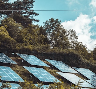 solar panels on green grass field