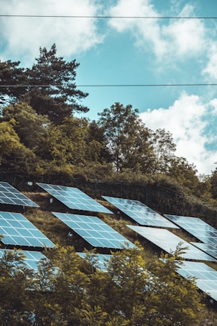Solar panels are installed on a hillside surrounded by lush green trees under a partly cloudy sky.