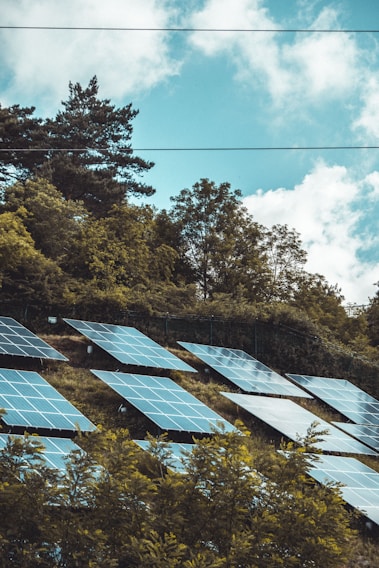 Solar panels are installed on a hillside surrounded by lush green trees under a partly cloudy sky.