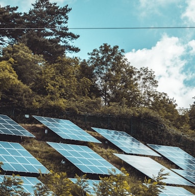 solar panels on green grass field