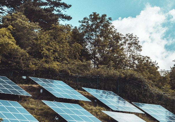 solar panels on green grass field