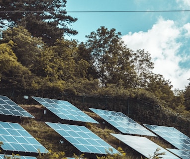 solar panels on green grass field