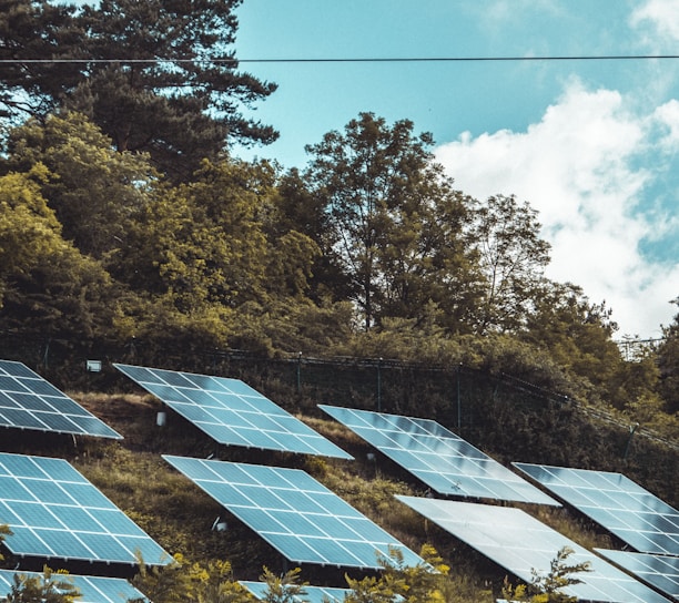 solar panels on green grass field