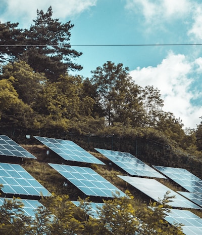 solar panels on green grass field