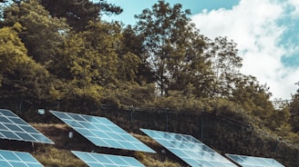 solar panels on green grass field