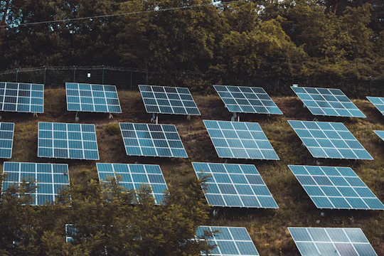 Several rows of solar panels are arranged on a grassy hillside, surrounded by dense green trees, suggesting a focus on renewable energy.