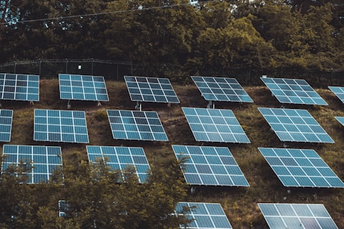 Several rows of solar panels are arranged on a grassy hillside, surrounded by dense green trees, suggesting a focus on renewable energy.
