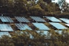 blue solar panels on green trees during daytime