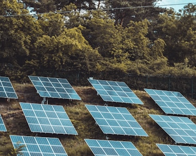 solar panels on green trees during daytime