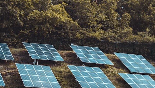 solar panels on green trees during daytime