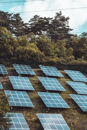 solar panels on green trees during daytime